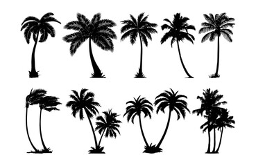 Naklejka premium various tropical palm trees silhouette