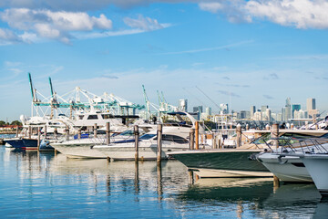 Yachting marina. Luxury yacht charter. Miami port marina. Luxury yachting in summer. Docked yacht in Miami beach. Marina luxury cityscape. Docked charter yacht. Motorboat docked in harbor