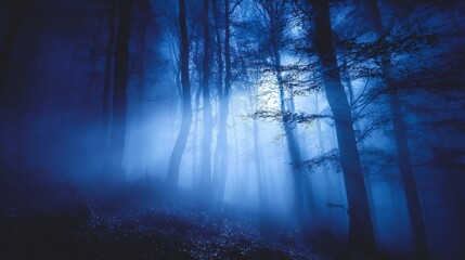 Fototapeta premium Spooky foggy forest with dense mist and eerie moonlight shining through dark trees at night, mysterious atmospheric woodland landscape perfect for horror, fantasy, and haunting mood concepts
