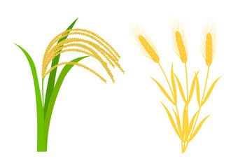 実った稲穂と小麦