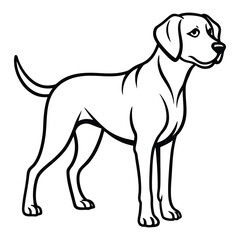 Fototapeta premium Black Labrador retriever line art