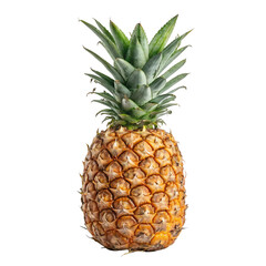 Whole Pineapple Transparent Background &ndash; Realistic Tropical PNG