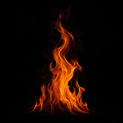 fire on a black background