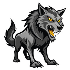 A gray wolf with bared teeth and piercing yellow eyes stands growling
 with white background
