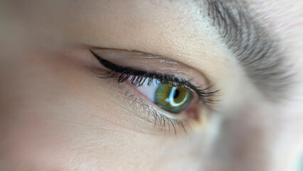 permanent eyeliner makeup close up. Healthy and clean skin young woman	
