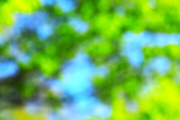 新緑と青空をぼかした背景素材