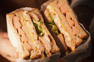 Close-up of Delicious Sandwiches