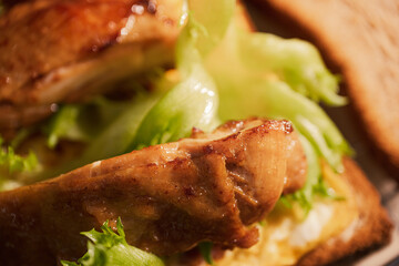 Delicious Chicken Sandwich with Crispy Lettuce