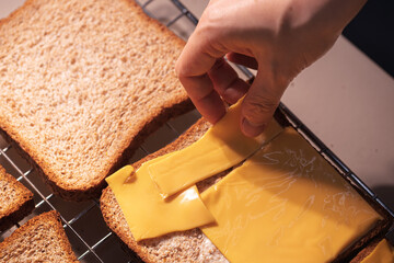 Making a Delicious Cheese Sandwich