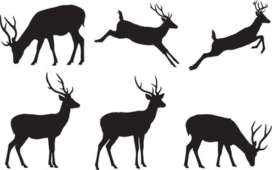 Graceful deer with antlers silhouette vector illustration