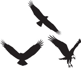 Obraz premium Eagle in different flight poses silhouette vector illustration