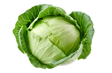 Fototapeta premium cabbage isolated on white background, full depth of field
