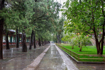 Obraz premium Beijing is known for its historical and cultural attractions, the Forbidden City, the Great Wall, the Old Summer Palace, luxurious and beautiful royal gardens, and traditional art.