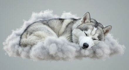 Naklejka premium Dreamy slumber, huskey puppy resting serenely on a fluffy cloudscape backdrop