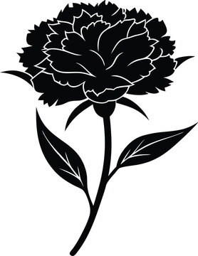 A detailed vector silhouette of a carnation design, Carnation icon vector illustration