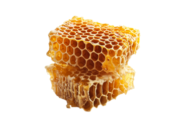 Isolated Honeycomb Pieces On Transparent Background Realistic Photo