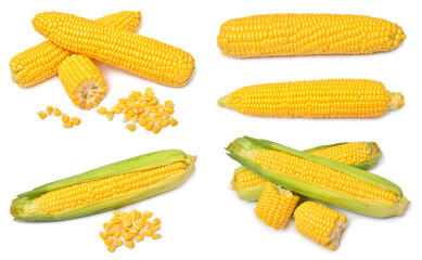 Set of fresh corn cob and grains isolated on white background