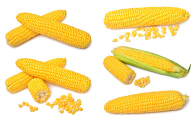 Set of fresh corn cob and grains isolated on white background