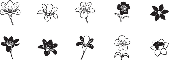 Floral Beauty in Artistic Form.