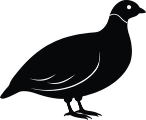 Bobwhite Quail vector Silhouette, Quail silhouette Vector illustration design.