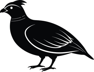 Obraz premium Bobwhite Quail vector Silhouette, Quail silhouette Vector illustration design.