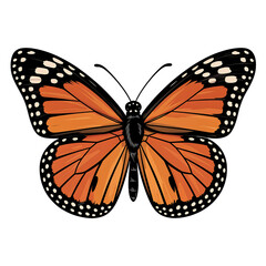 Obraz premium Monarch Butterfly with Detailed Orange and Black Wings