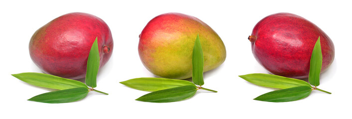 Set fresh one mango fruit with leaves isolated on white background. Flat lay, top view