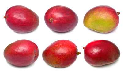 Set one fresh mango fruit isolated on white background. Flat lay, top view