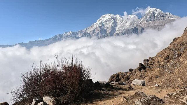 Scenic Trekking Journey to Mardi Himal High Camp in Nepal