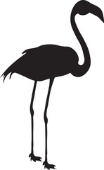 Flamingo isolated design.