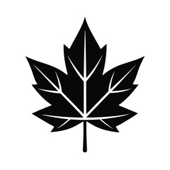 autumn leaf icon vector illustration