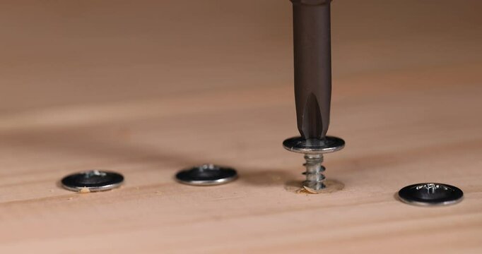closeup screw with a drill shape for fixing wooden boards and other wood materials, self-tapping screws with a drill tip twisted into a pine board