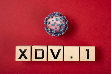 coronavirus and XDV.1 variant on a red background