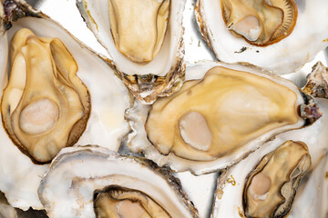 top view freshly cooked oysters