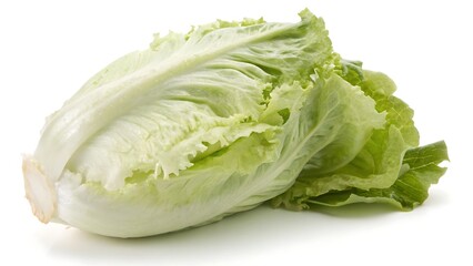 cabbage isolated on white background