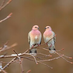 A low-angle shot of mourning doves perched on snow-covered branches in winter, soft cinematic haze with generative ai