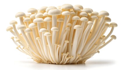 Close-up of a bunch of raw white mushrooms, an ingredient for a healthy Italian meal