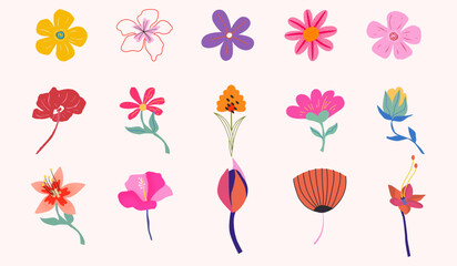 Colorful hand-drawn flower vector illustration collection with diverse floral designs