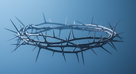Crown of Thorns, A Symbolic Representation of Sacrifice and Suffering