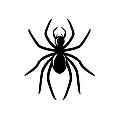 Obraz premium Hairy Tarantula Spider Doodle Vector For A Creepy And Crawly Arachnid