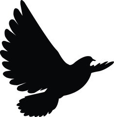 Flying Dove Silhouette on White Background