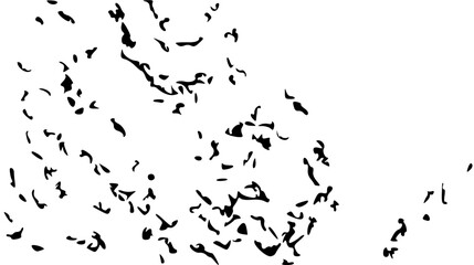 Fototapeta premium black and white background with ink splashes