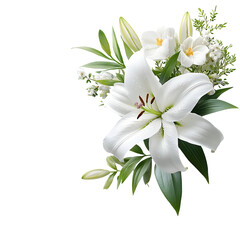 A single delicate white lily flower stands out against a pure white background showcasing its elegant natural beauty in a serene and refined composition