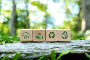 Wooden cubes with sustainability icon standing on wooden floor. Green business and eco friendly concept.
