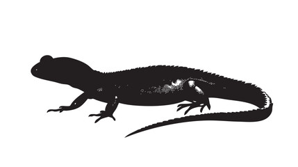 Fototapeta premium hand drawn silhouette of salamander , black silhouettes isolated on white background