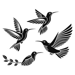 Set of Hummingbird Silhouettes