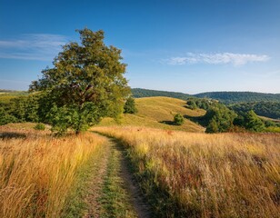 Obraz premium Rural landscape in late summer. Rural landscape with a path, trees and meadows on hills