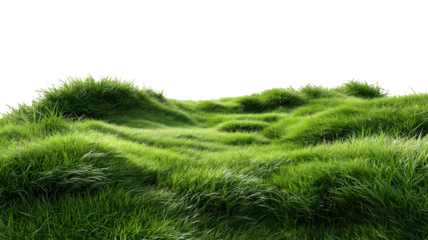 Lush green grass isolated on transparent background, ideal for garden visuals, environmental projects, and digital artwork