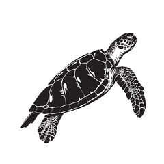 Obraz premium hand drawn silhouette of sea turtle , black silhouettes isolated on white background