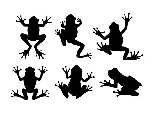 various frog silhouettes collection